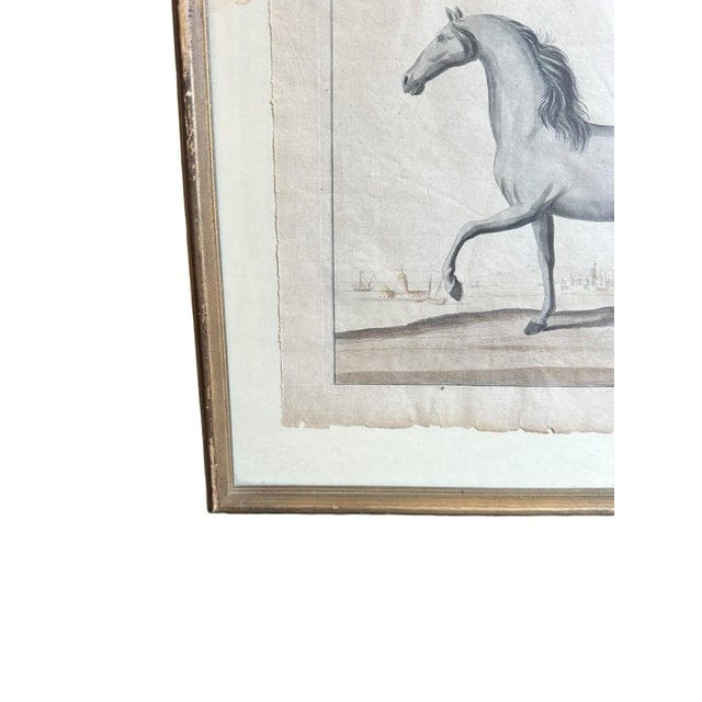 Framed Early 18th Century Bernard Picard Horse Engraving - “Le Turc” | IdleHour