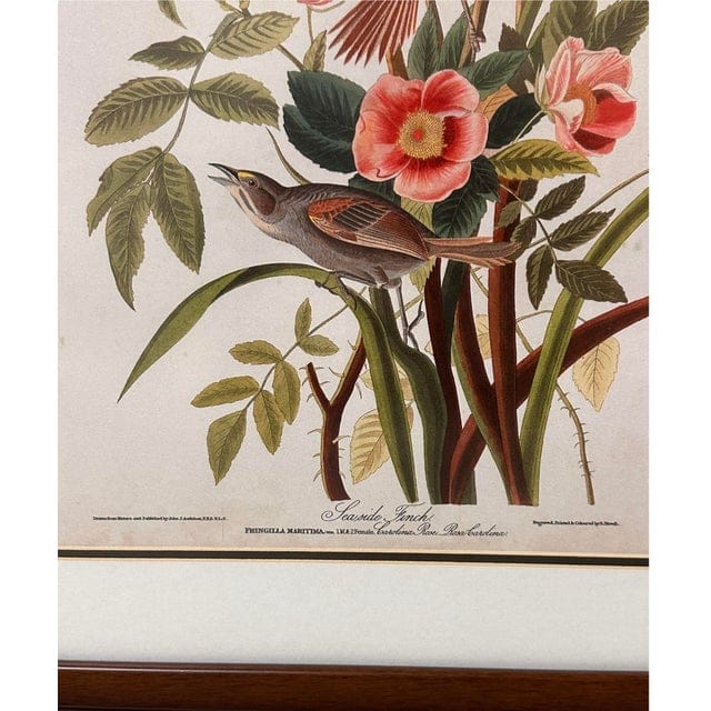 Late 20th Century Pair of Framed Prints After John James Audubon - Seaside Finch and 261 Sandhill Crane | IdleHour