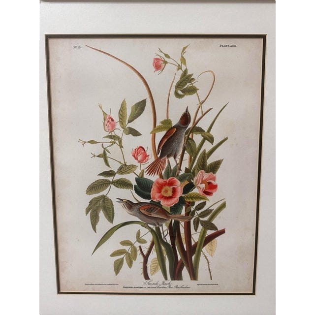 Late 20th Century Pair of Framed Prints After John James Audubon - Seaside Finch and 261 Sandhill Crane | IdleHour