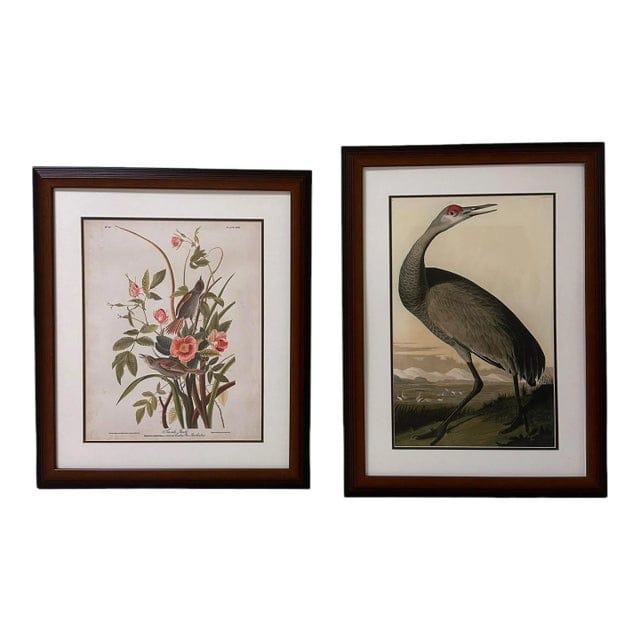 Late 20th Century Pair of Framed Prints After John James Audubon - Seaside Finch and 261 Sandhill Crane | IdleHour