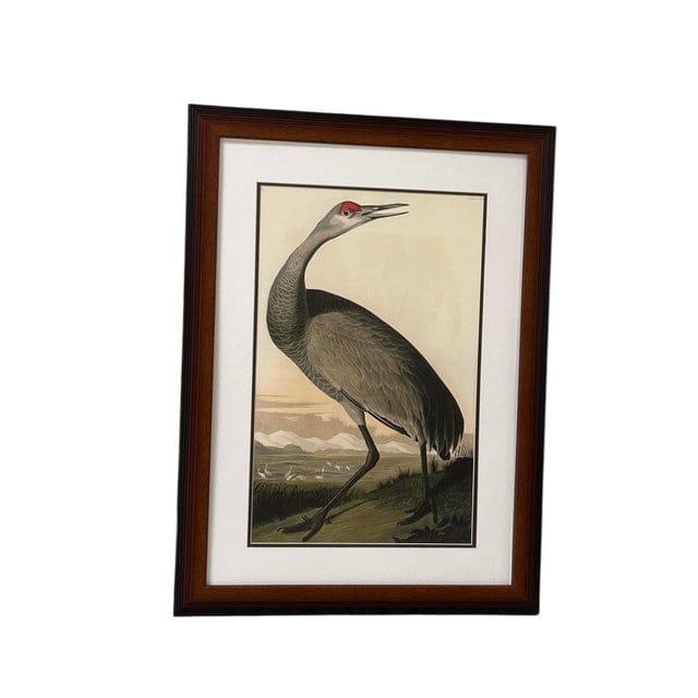Late 20th Century Pair of Framed Prints After John James Audubon - Seaside Finch and 261 Sandhill Crane | IdleHour
