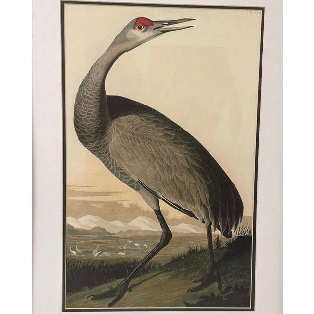 Late 20th Century Pair of Framed Prints After John James Audubon - Seaside Finch and 261 Sandhill Crane | IdleHour