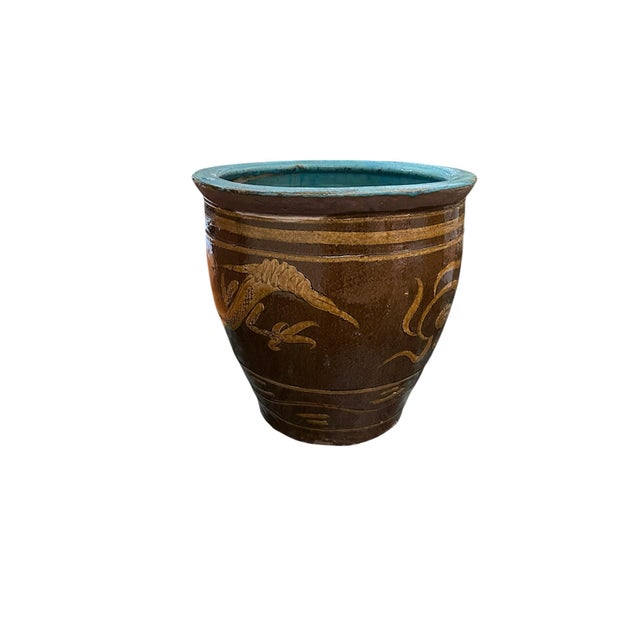 FIVE ELEMENTS PLANTS ANCIENT EGGS POTS 鉢 F.E.P. (Five Elements Plants)